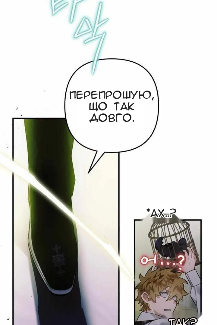 Сторінка 5