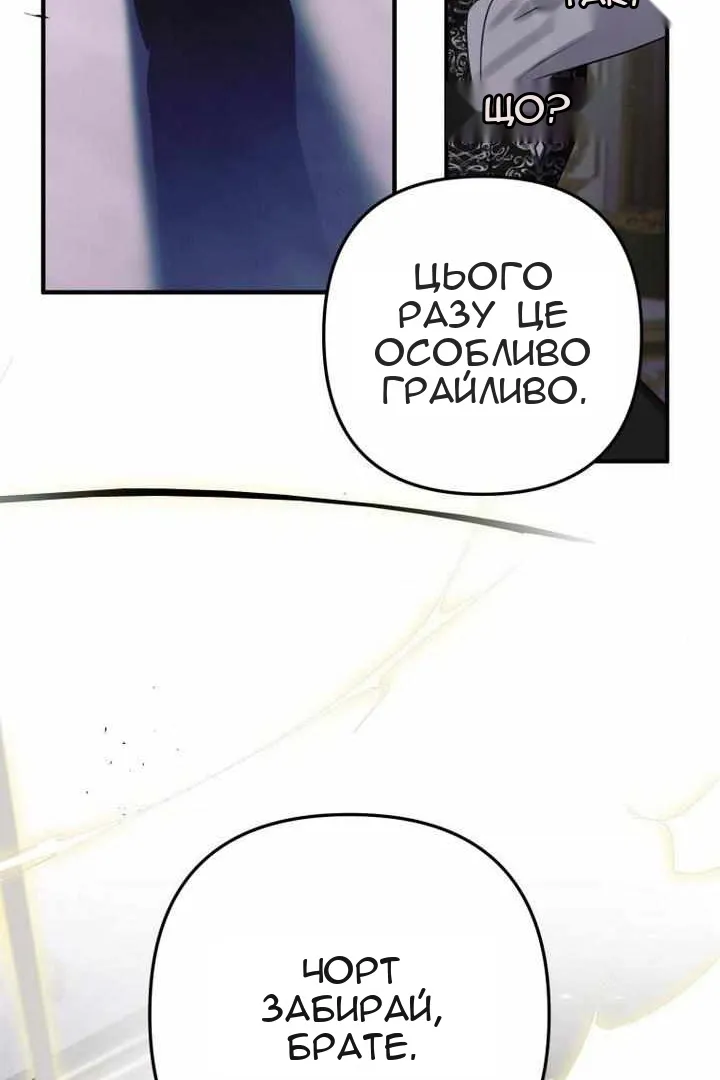 Сторінка 6