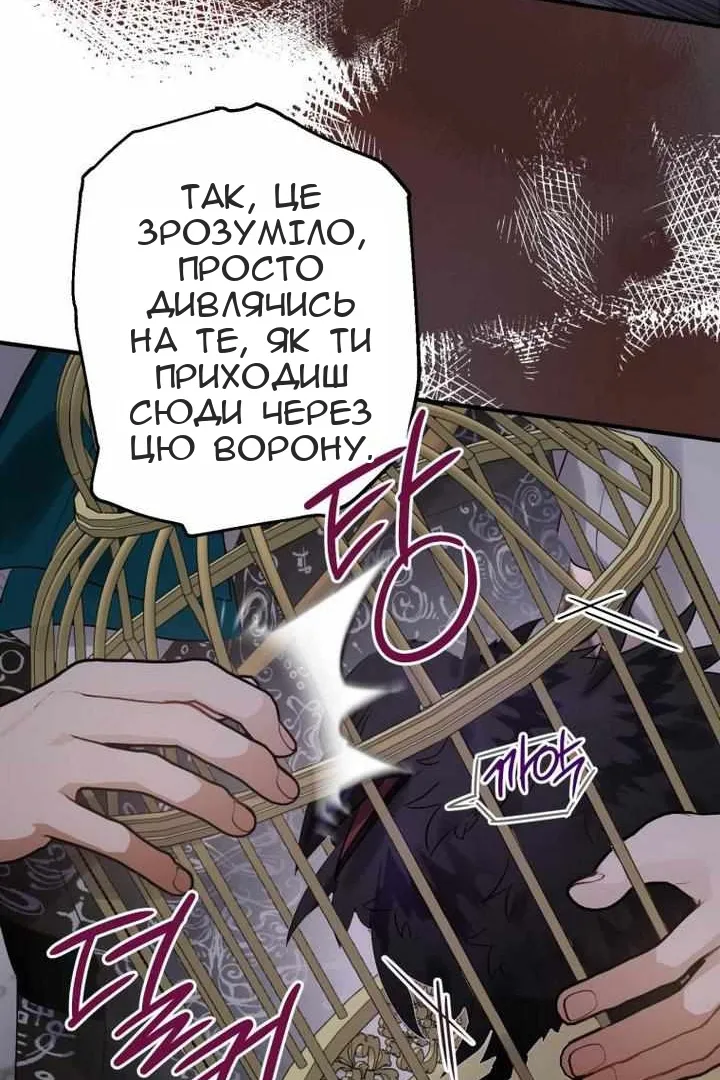 Сторінка 23