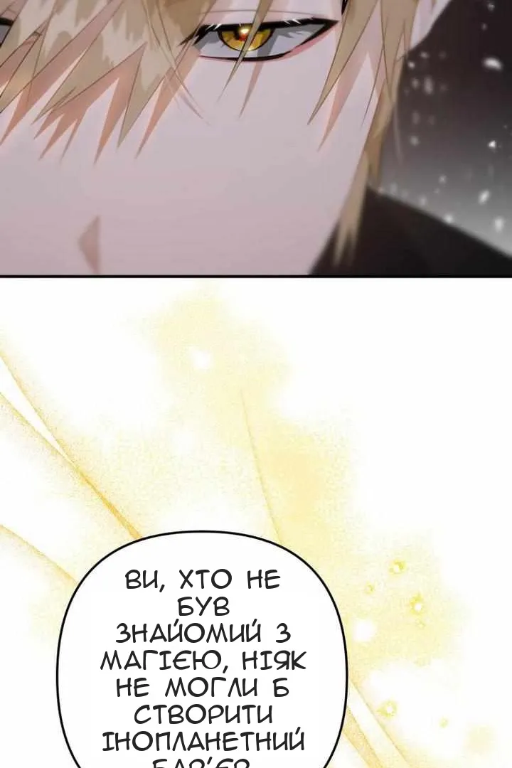 Сторінка 28