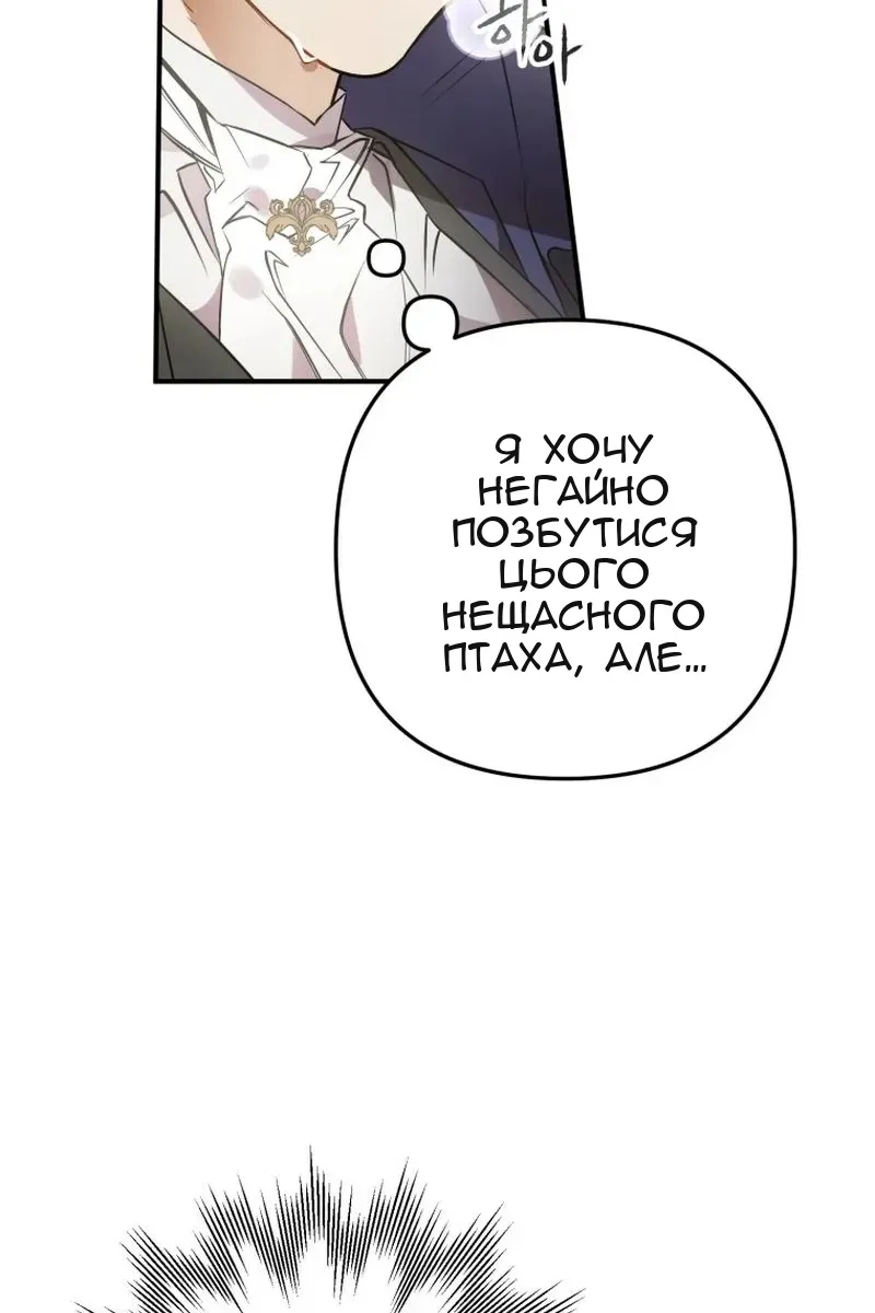 Сторінка 13