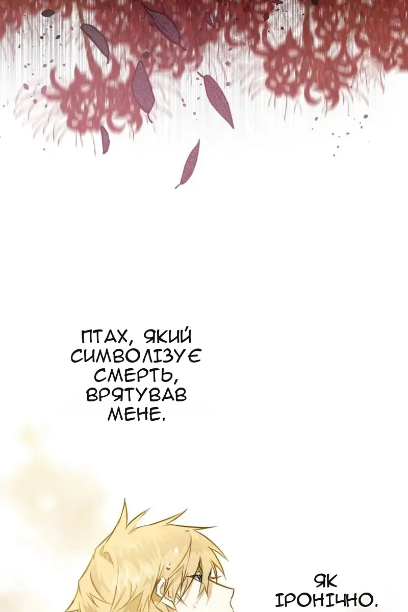 Сторінка 71