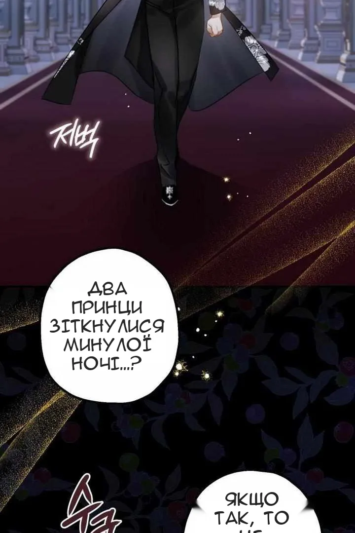 Сторінка 15