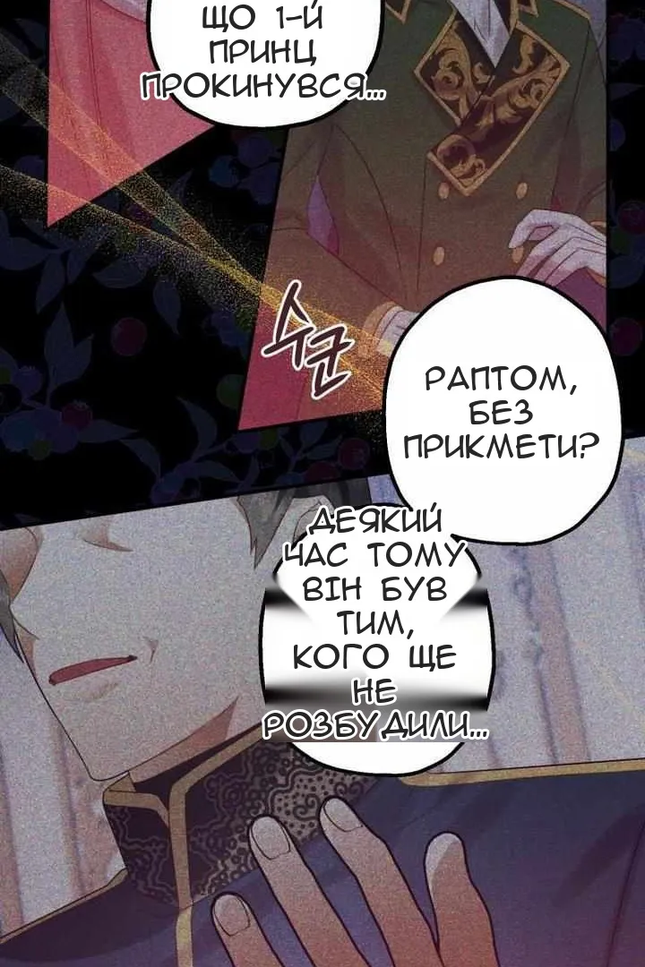 Сторінка 17