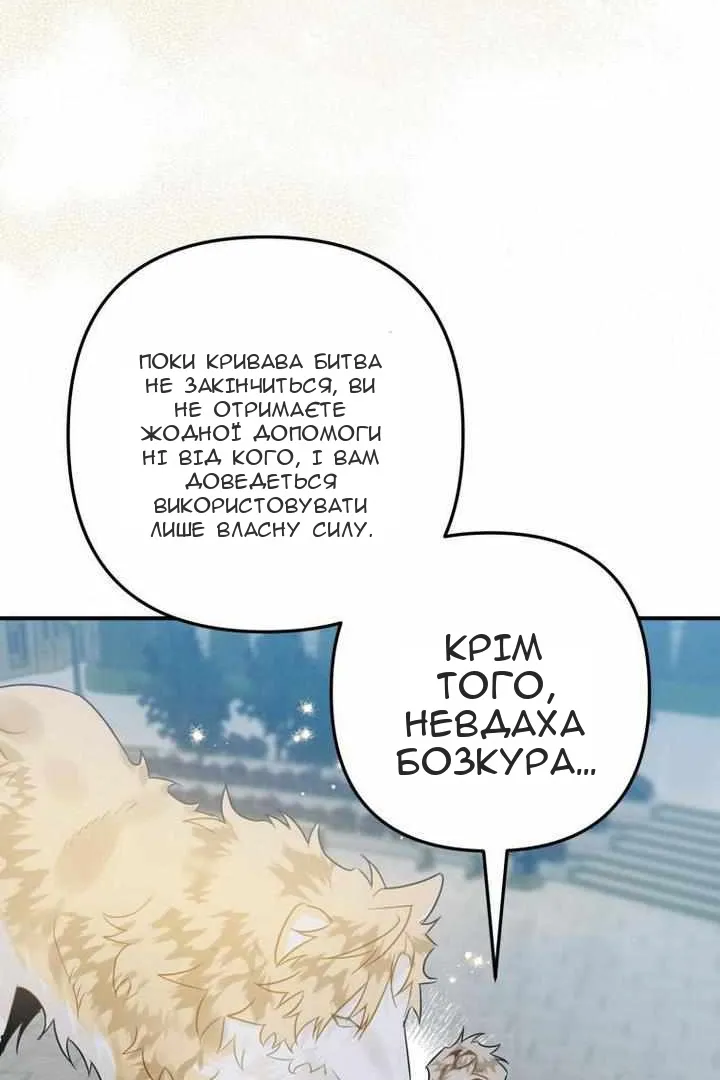 Сторінка 42