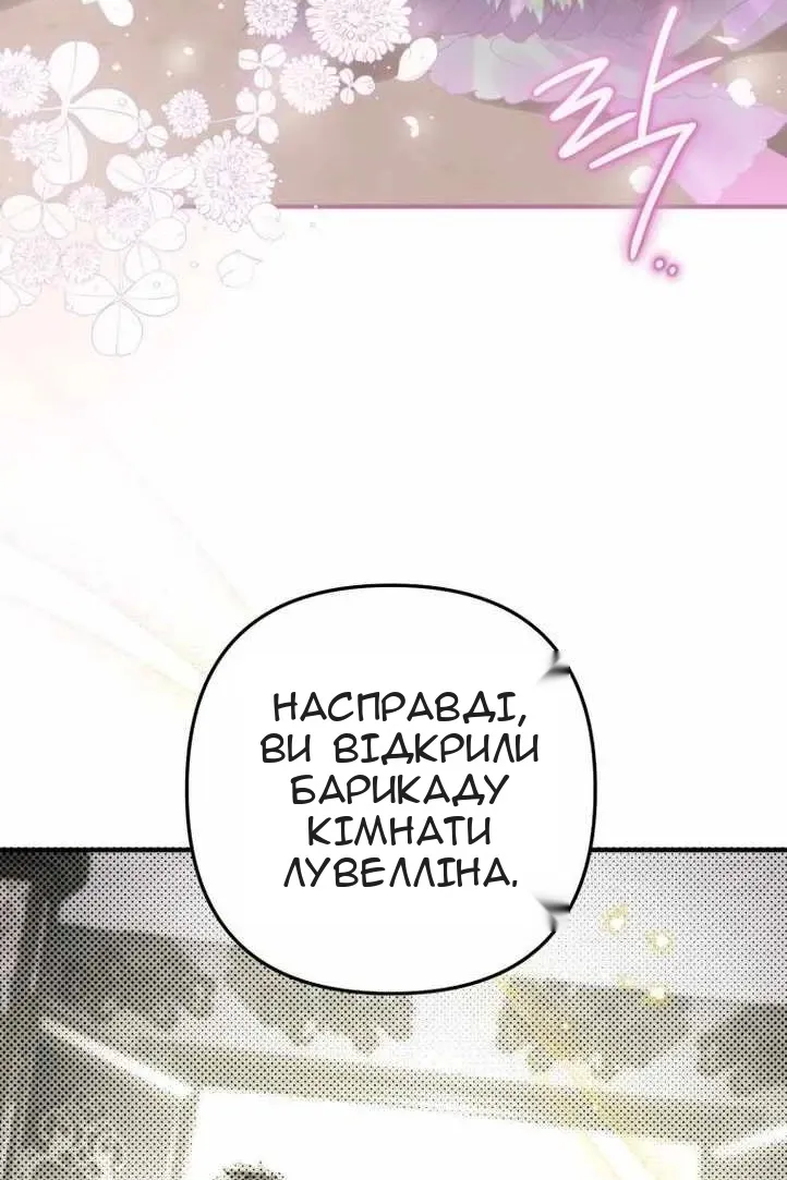 Сторінка 28