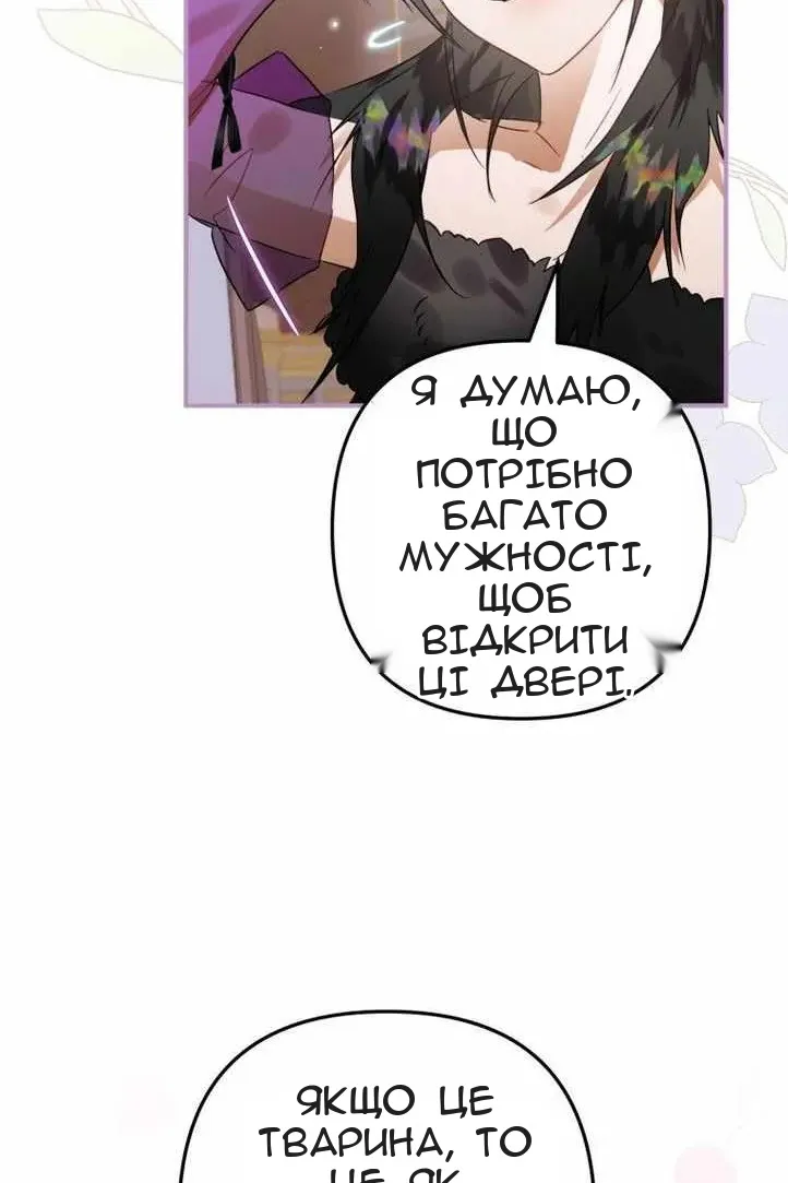 Сторінка 31