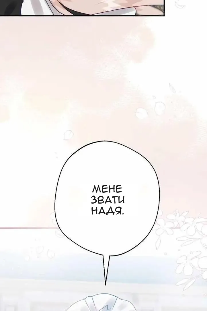 Сторінка 47