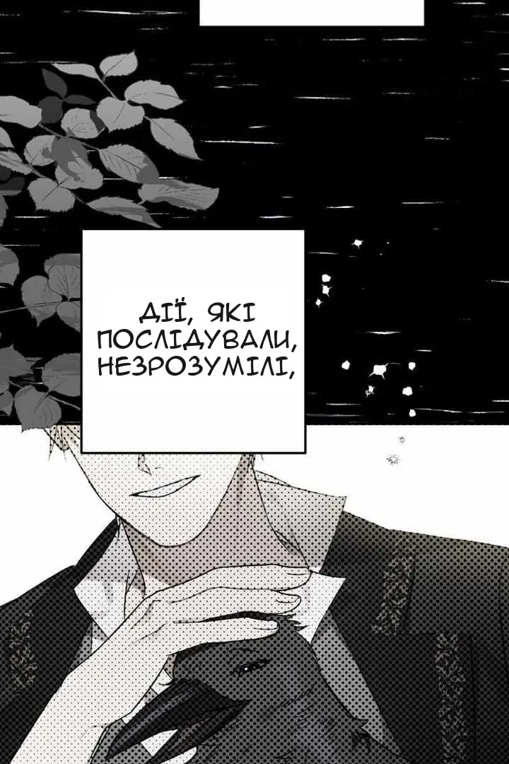 Сторінка 41