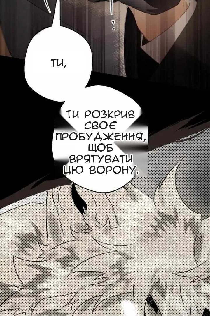 Сторінка 45