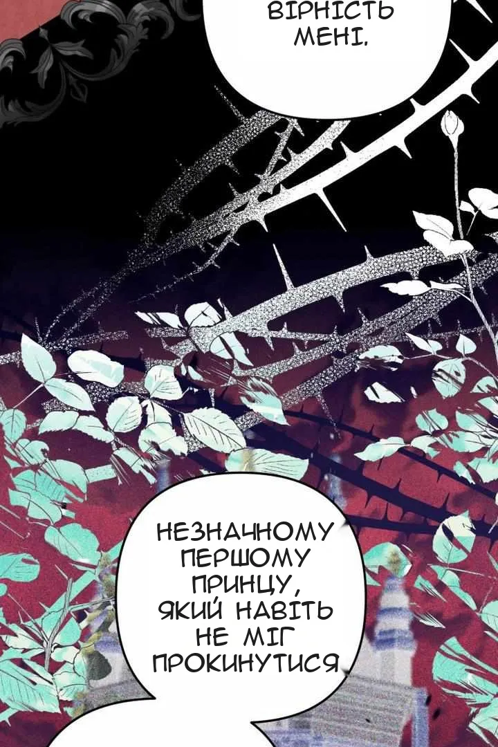 Сторінка 58