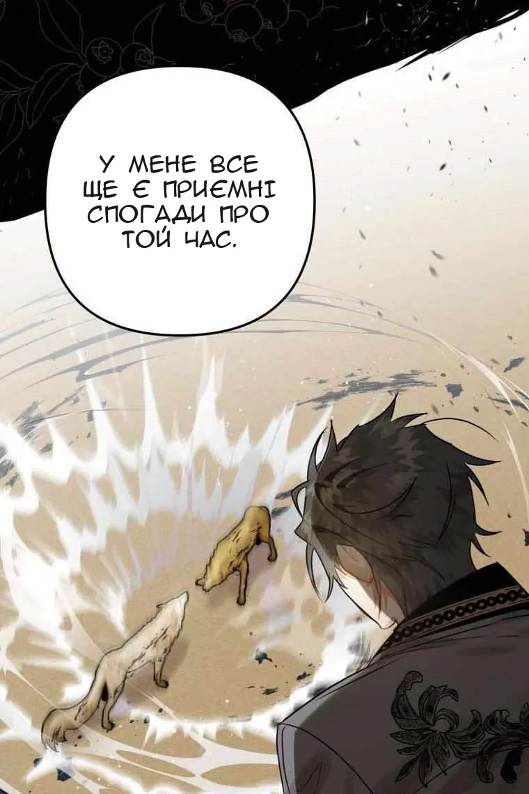 Сторінка 6