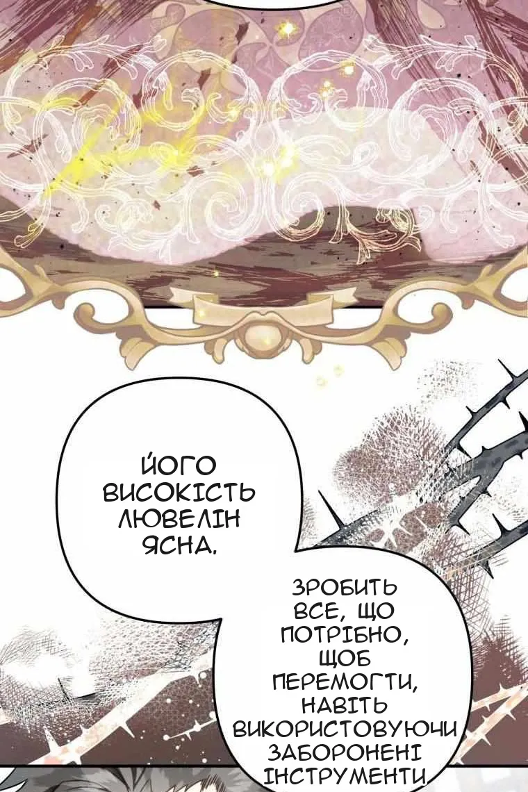Сторінка 17