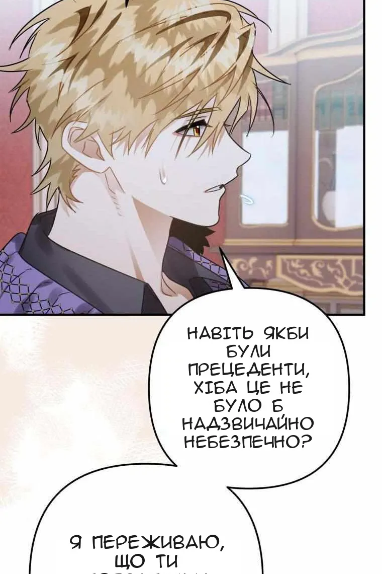 Сторінка 47