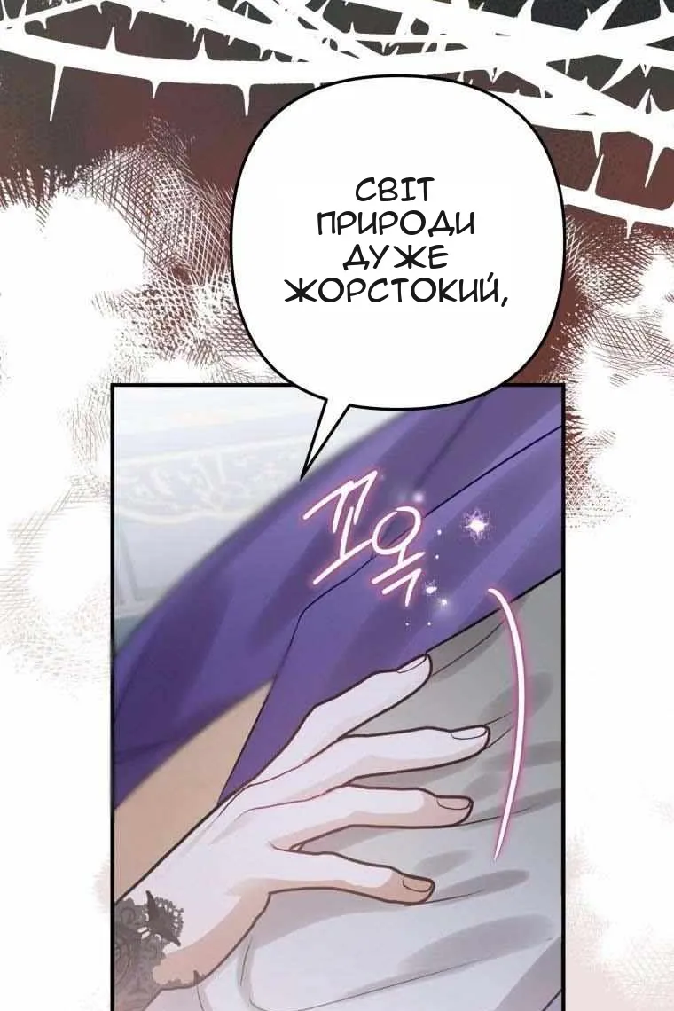 Сторінка 57