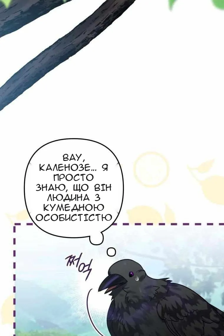 Сторінка 82
