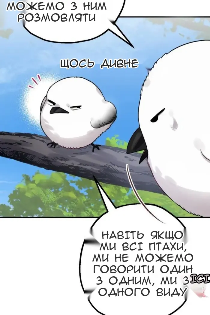Сторінка 11