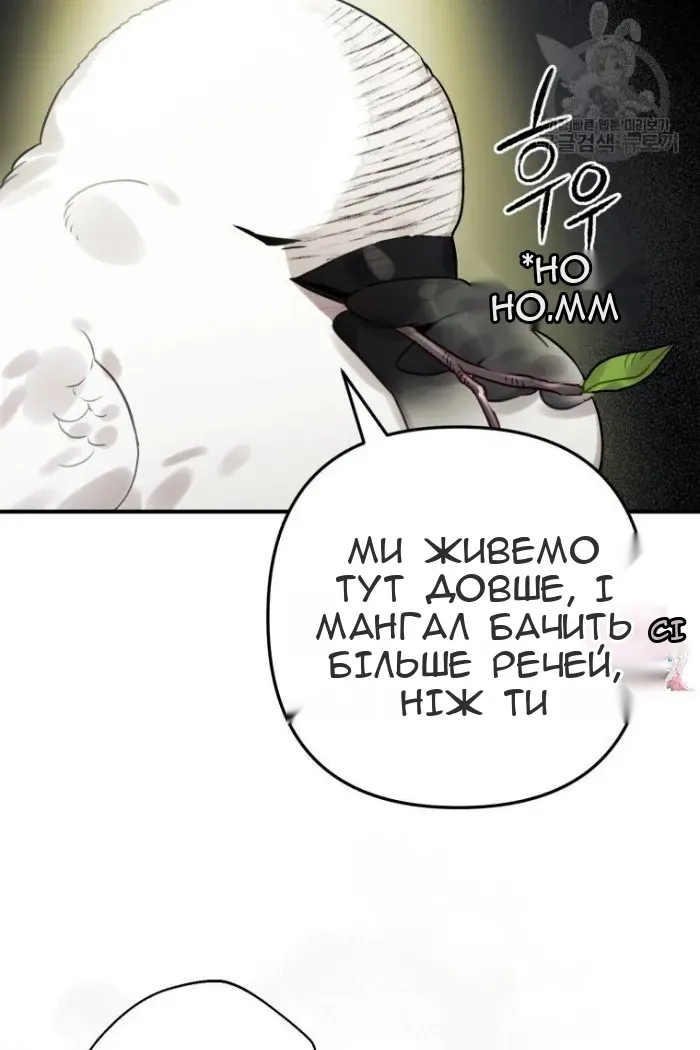 Сторінка 17
