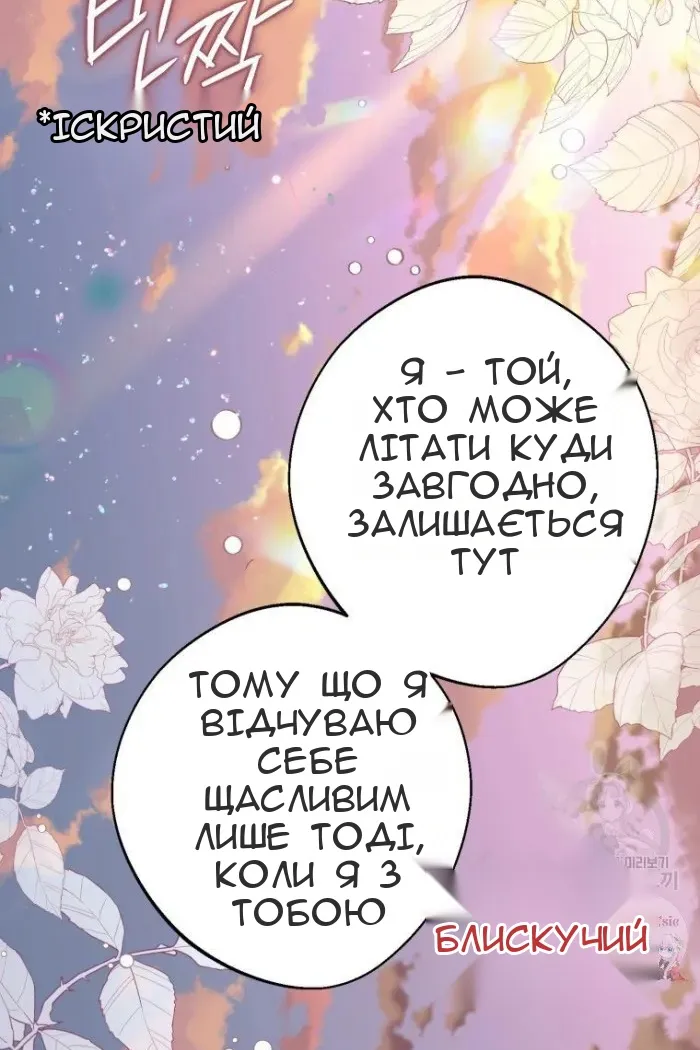 Сторінка 97