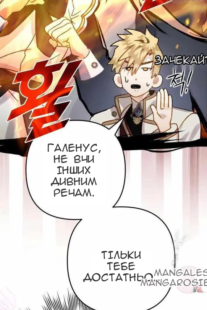 Сторінка 11