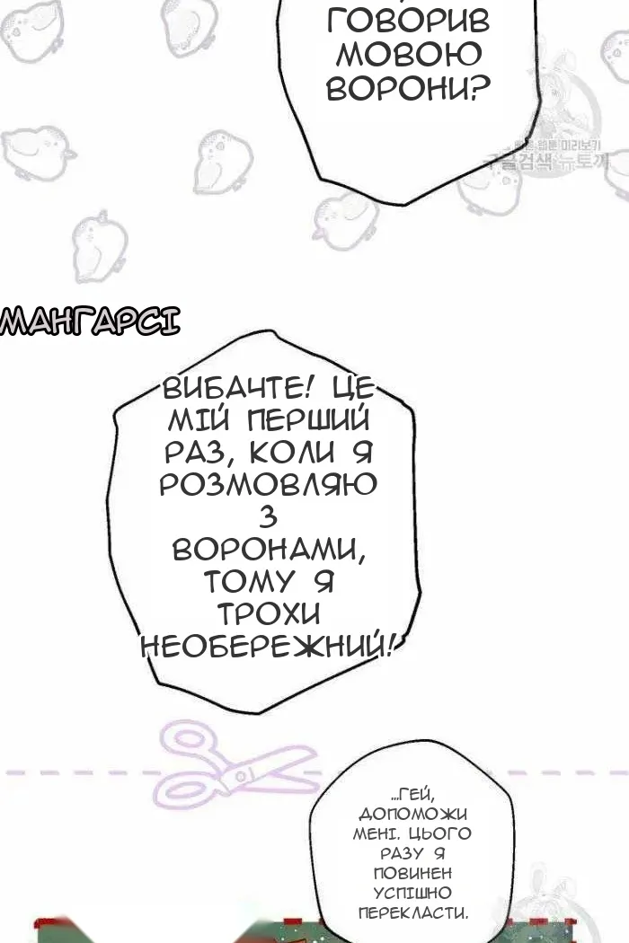 Сторінка 31
