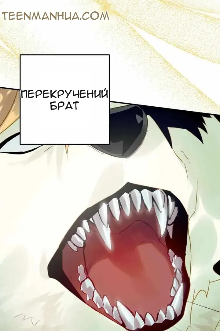 Сторінка 62