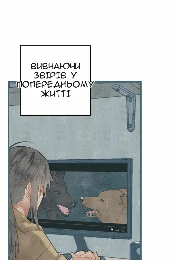 Сторінка 109