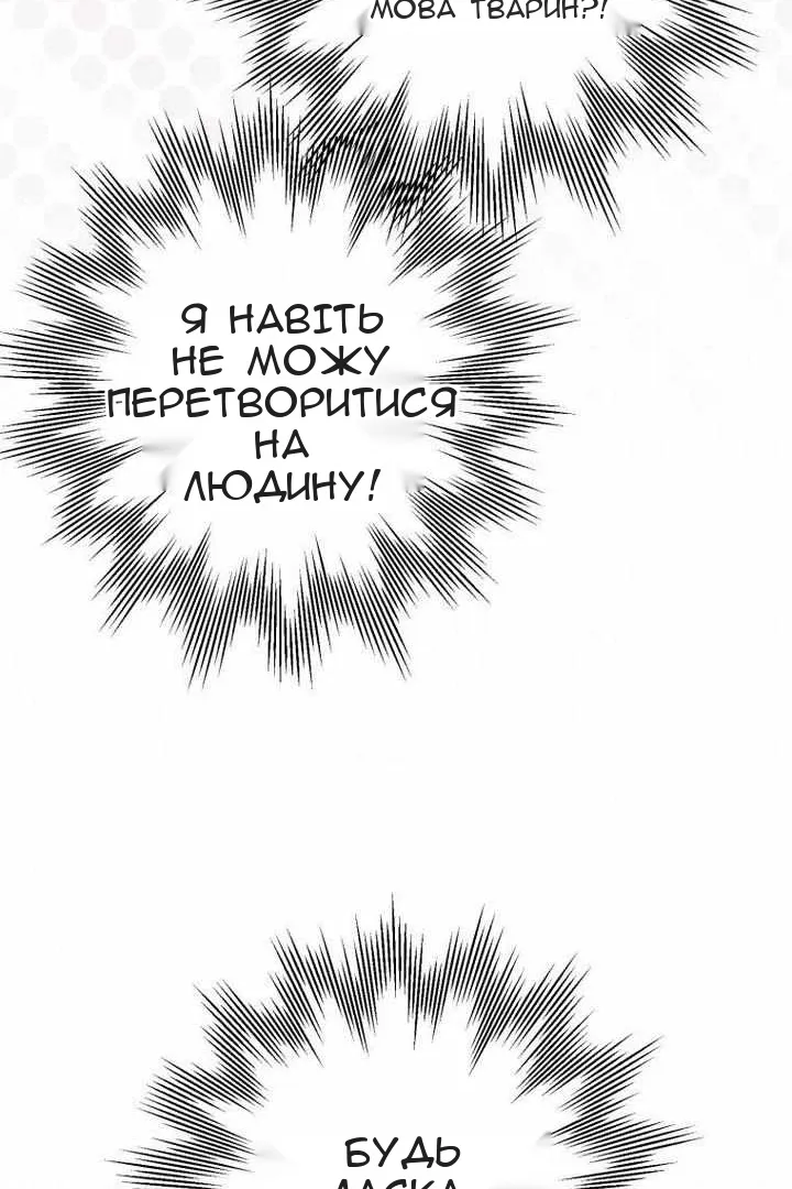 Сторінка 67