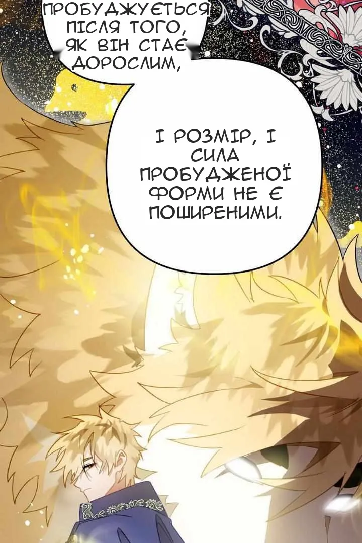 Сторінка 28