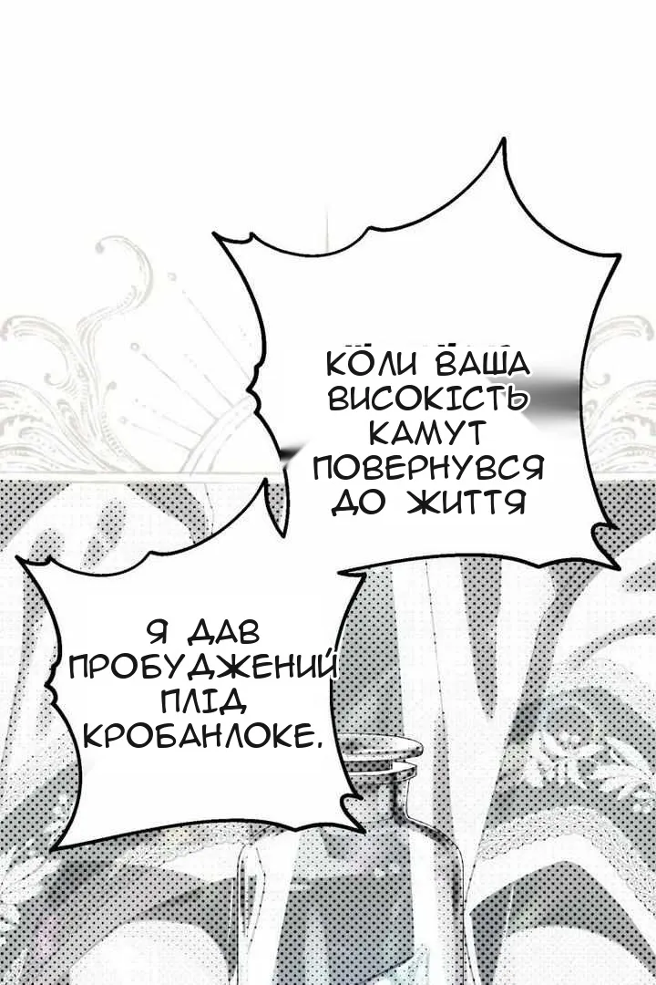 Сторінка 35