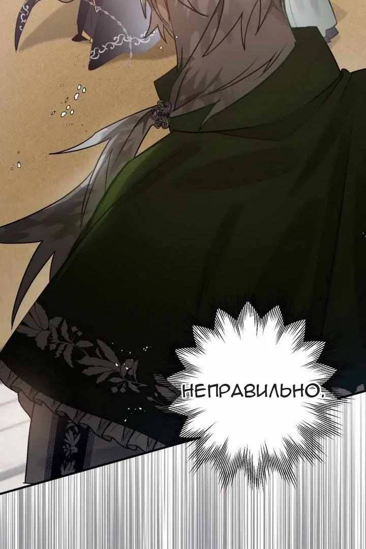 Сторінка 43