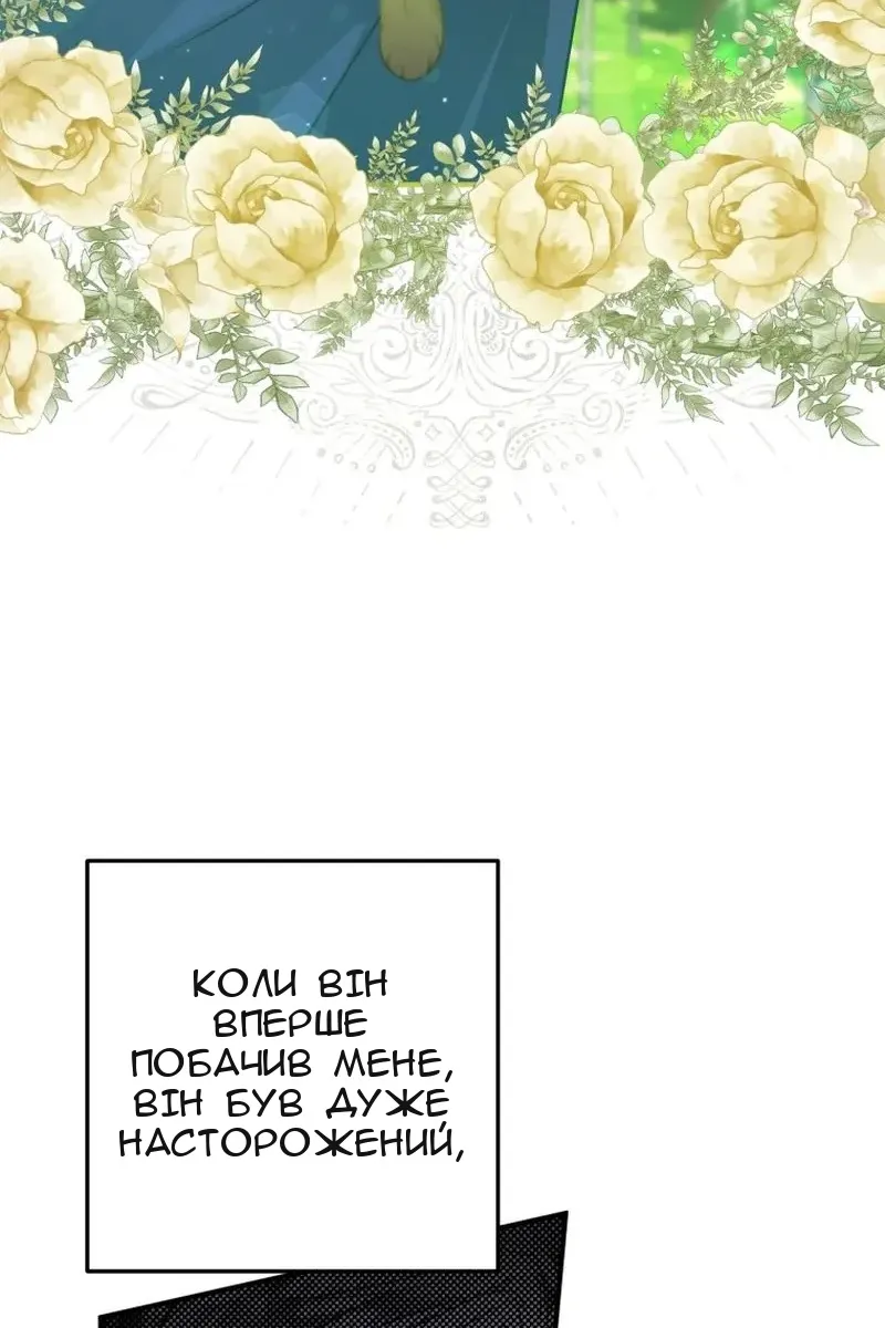 Сторінка 13