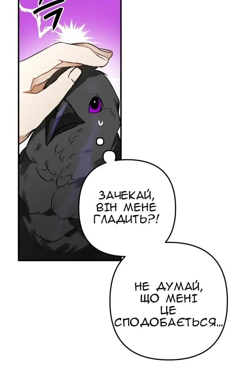 Сторінка 21