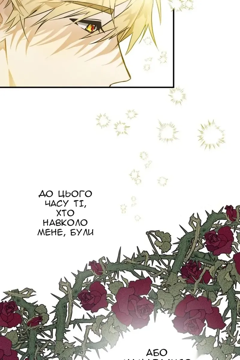 Сторінка 25