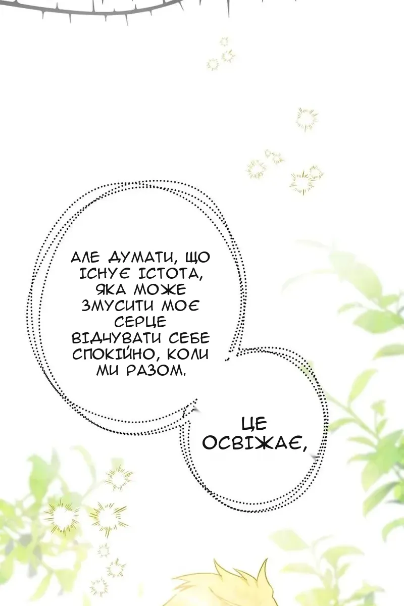 Сторінка 27