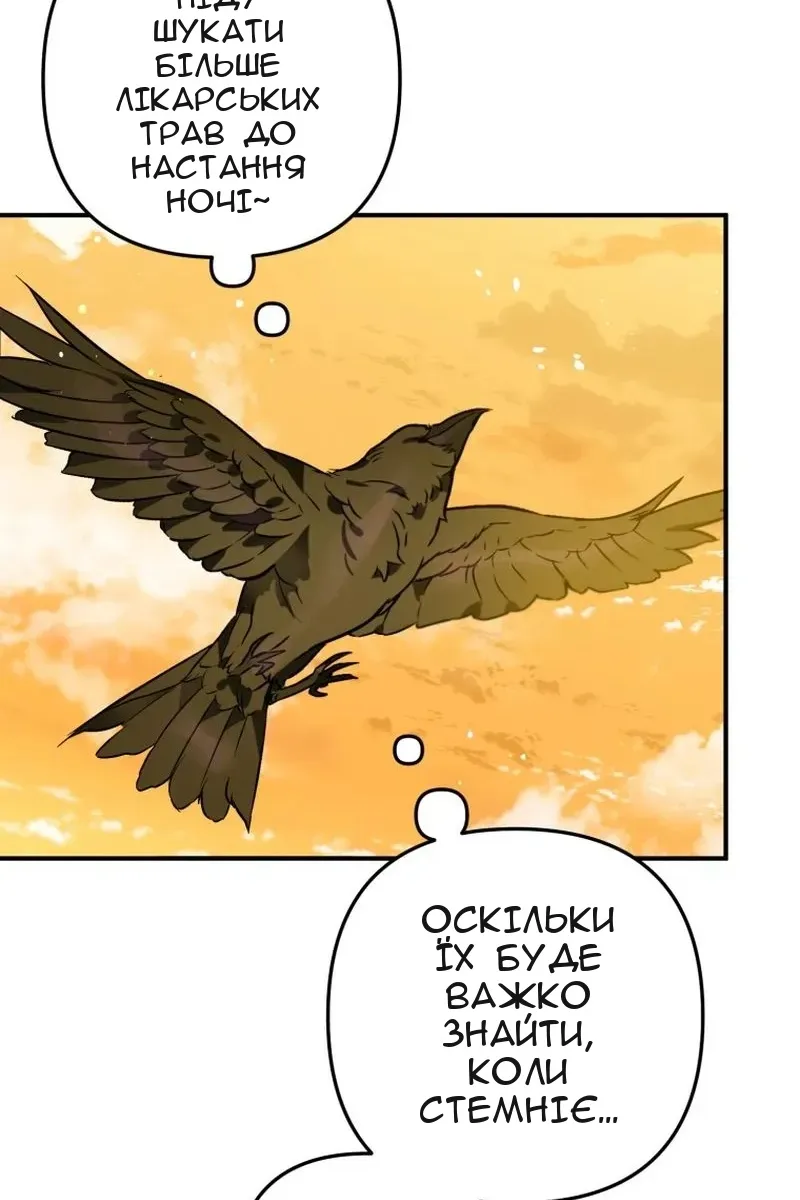 Сторінка 43