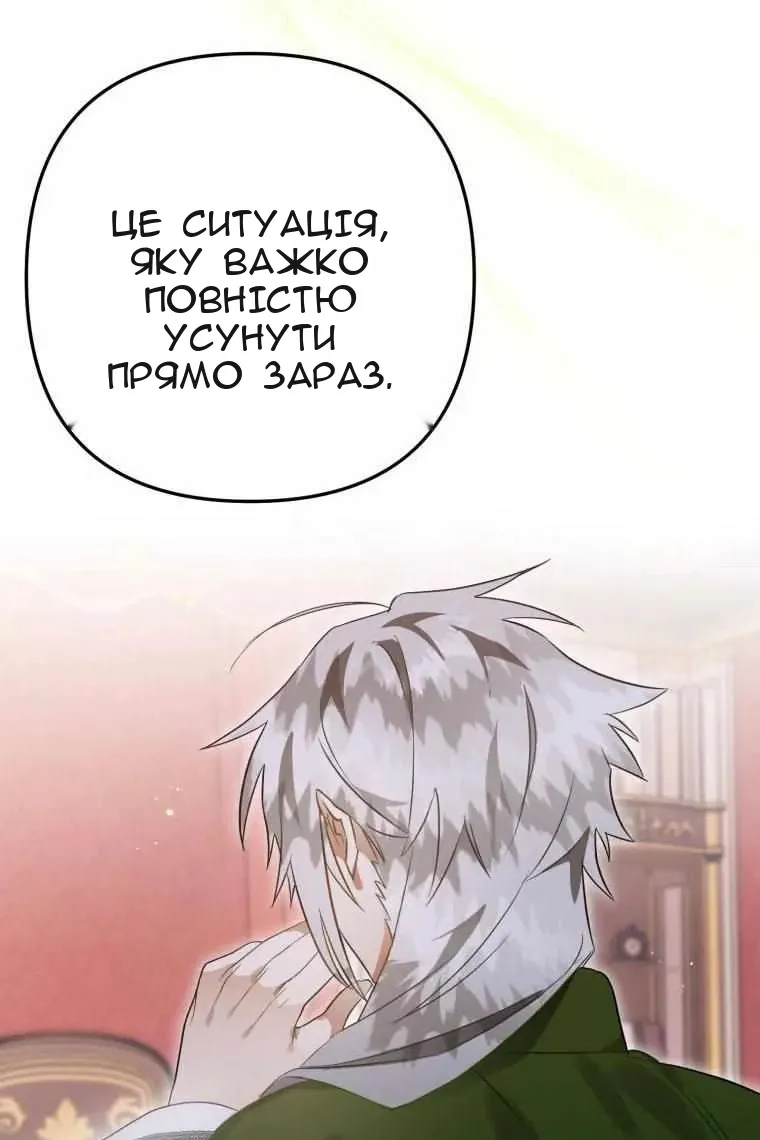 Сторінка 31