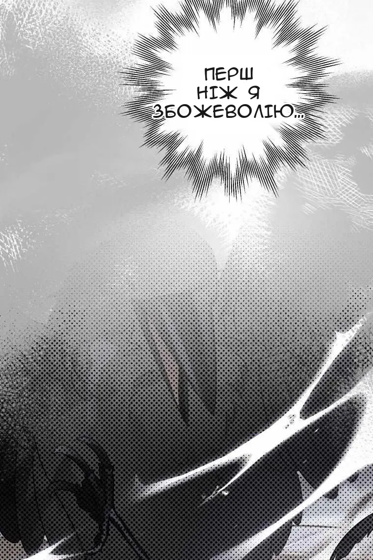 Сторінка 68