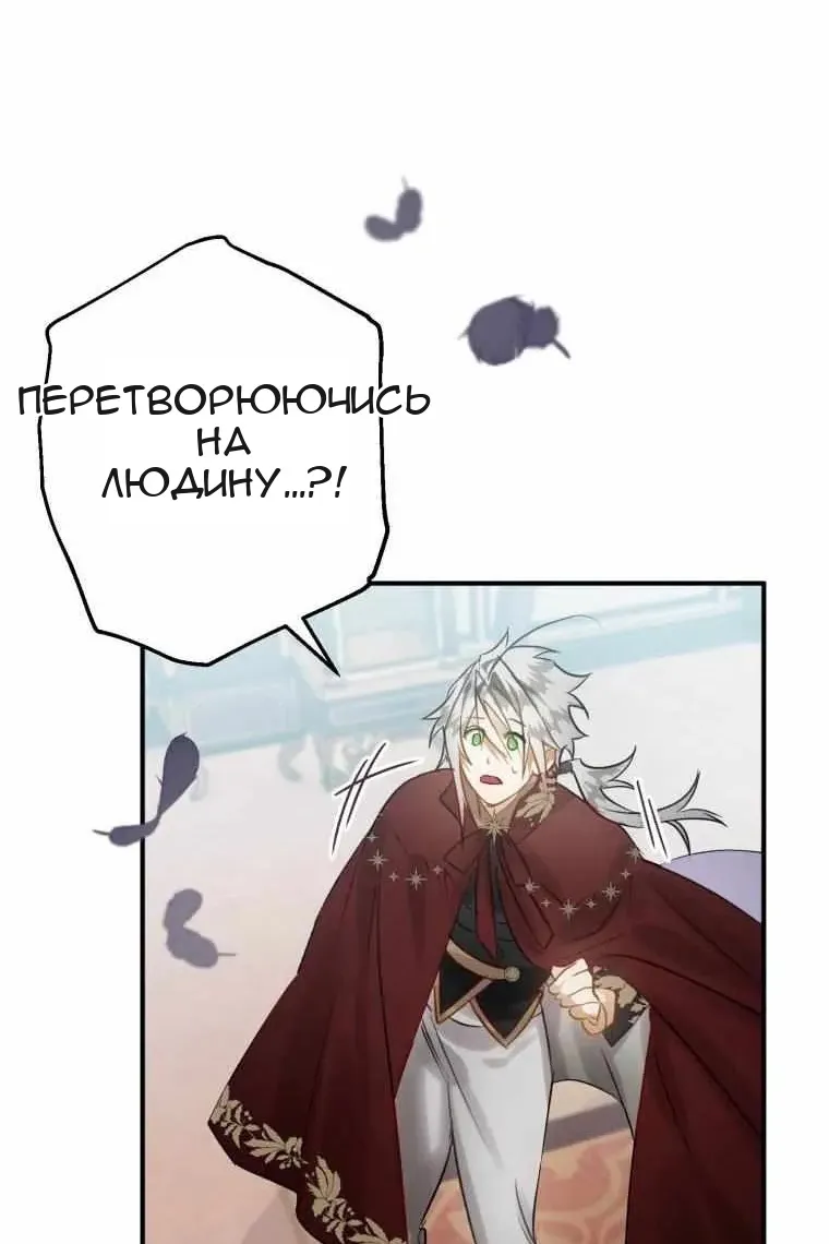 Сторінка 15