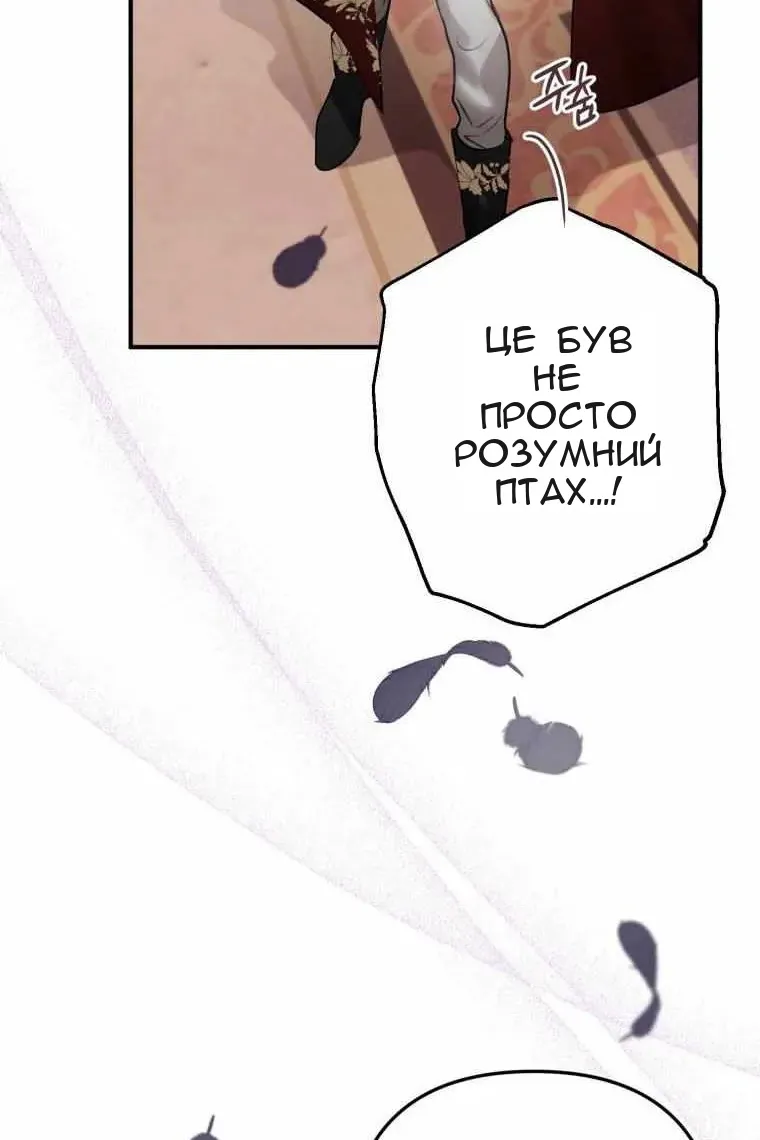 Сторінка 16