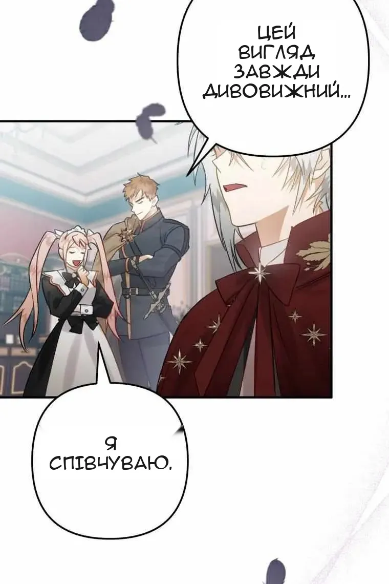 Сторінка 17