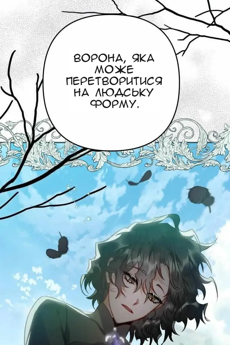 Сторінка 29