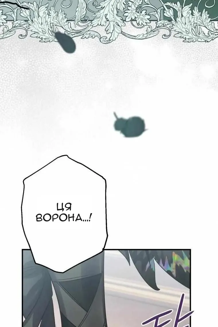 Сторінка 31