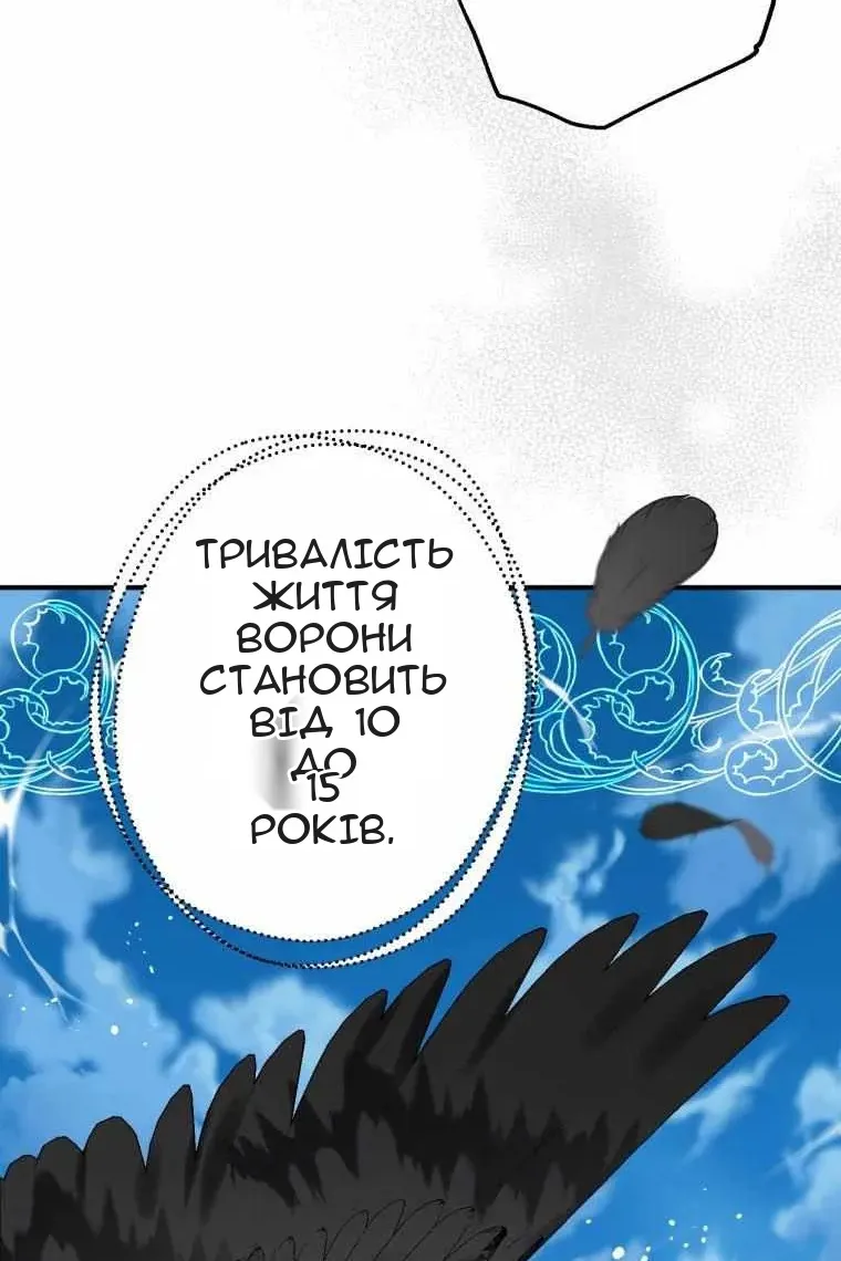 Сторінка 39