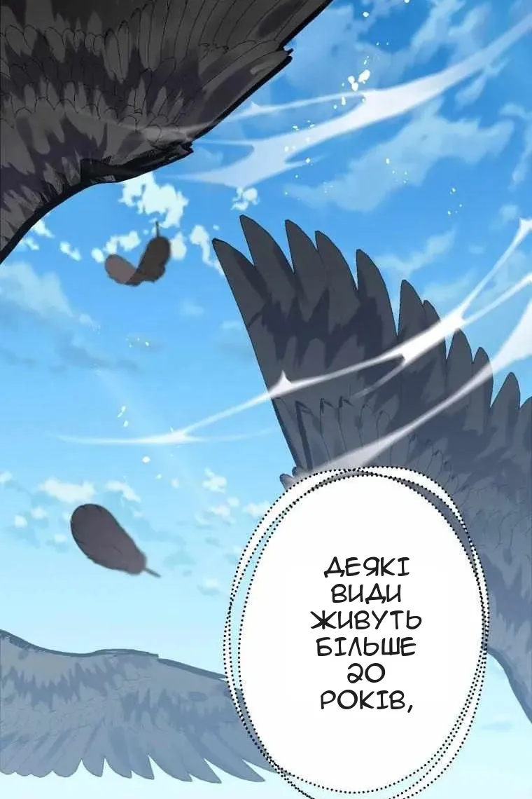 Сторінка 40