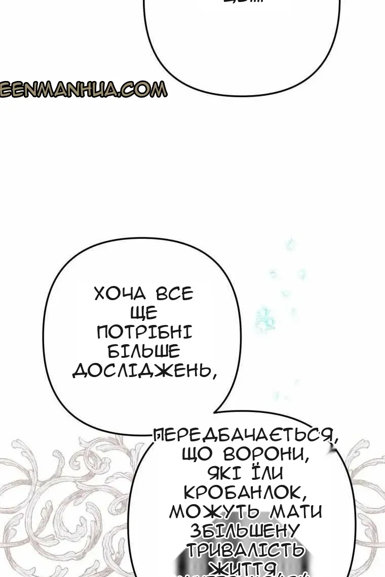 Сторінка 73