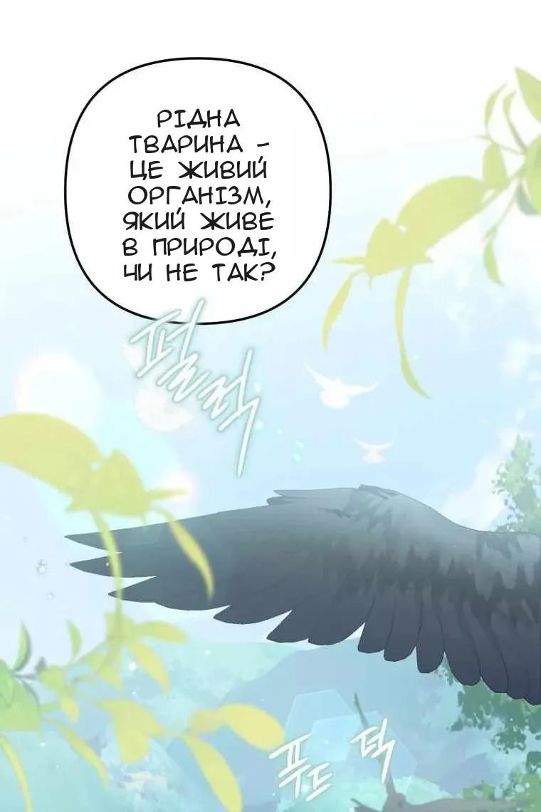 Сторінка 13