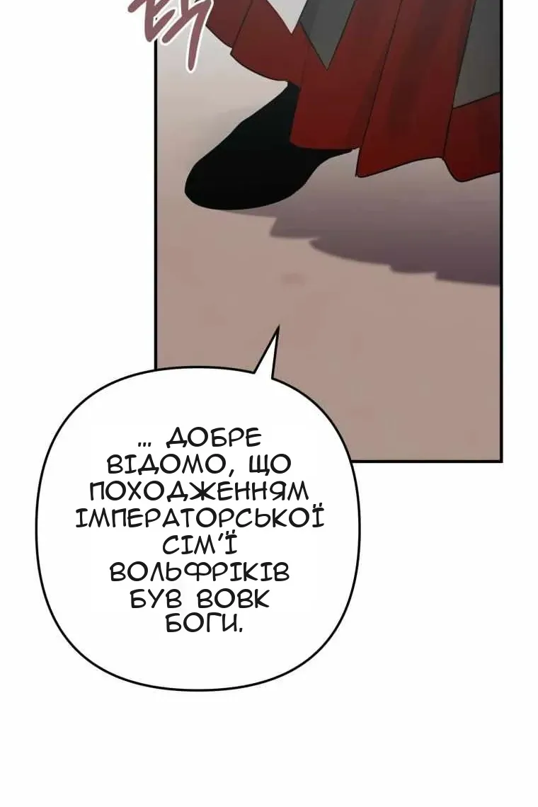 Сторінка 29