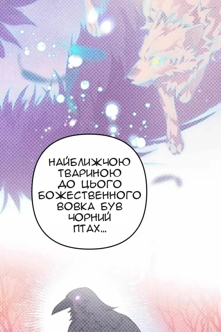Сторінка 31