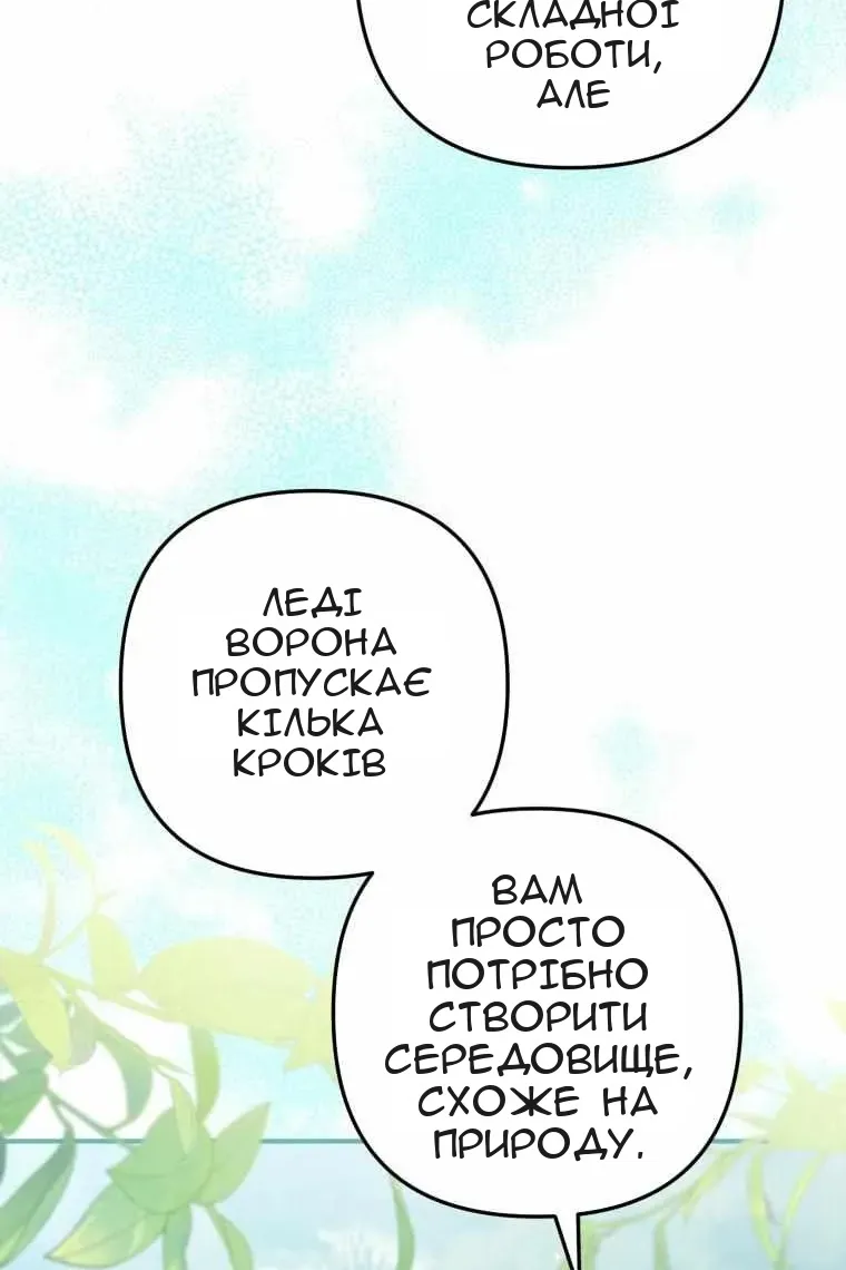Сторінка 41
